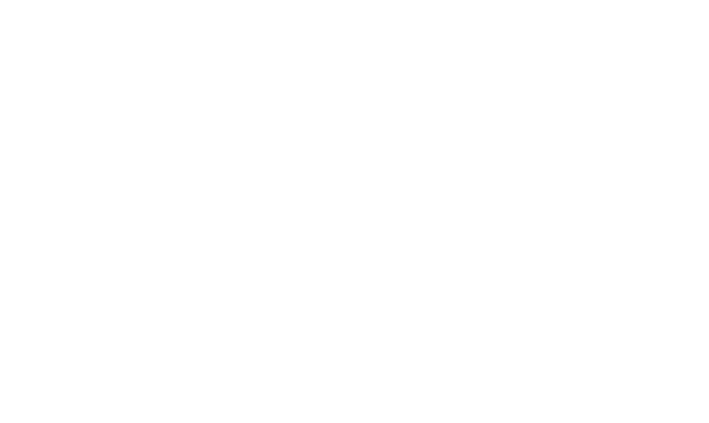 W.O.W. Museum Logo